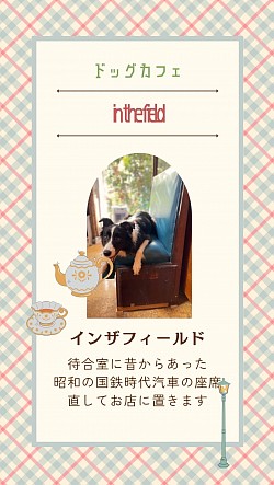 Oguri’s on Old JR chair