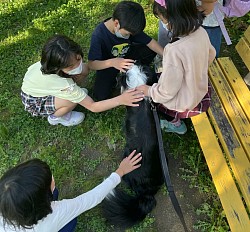 飛びついたりしないで、おとなしくできるよ