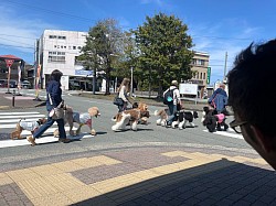 ディスクで遊ぼう